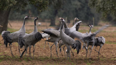 Extremadura, el paraíso natural de Europa