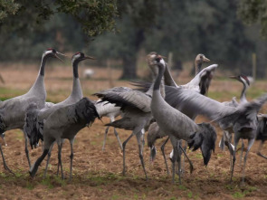 Extremadura, el paraíso natural de Europa