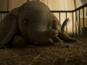 Dumbo