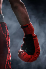 Boxeo: velada Lejarraga vs Skeete (2018)