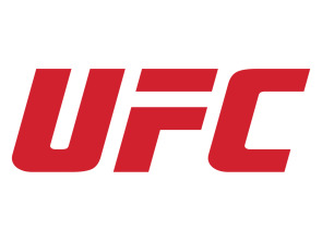 UFC 236: Holloway vs Poirier 2 (2019)