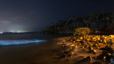 Arqueología en la...: La criatura del lago Eacham