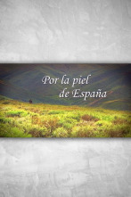 Por la piel de España: Pisuerga