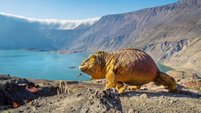 Un planeta perfecto: Los volcanes