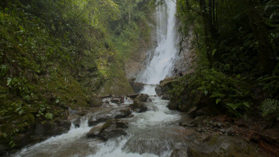 Turismo rural en el mundo: Alemanya