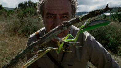 Cuaderno de campo