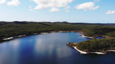 Los paisajes más...: El amazonas