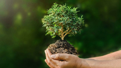 La naturaleza de nuestro planeta tierra 