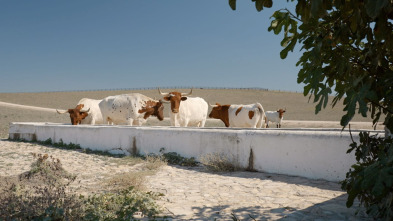 Las rutas D'Ambrosio (T9): La ruta del vino y el pescado de Lea Artibai