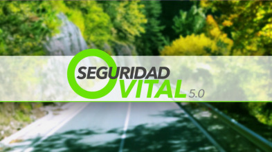 Seguridad vital 5.0 (T13)