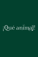 ¡Qué animal! (T1): Selva de Irati