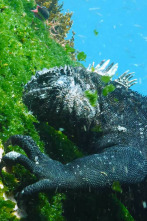 Las Galápagos, la frontera del mundo