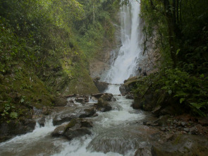 Turismo rural en el mundo 