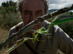 Cuaderno de campo: Jabalí