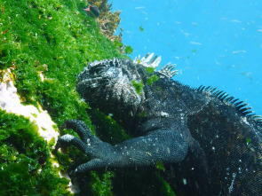 Las Galápagos, la frontera del mundo