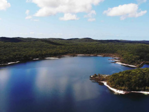 Los paisajes más...: El amazonas