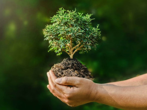 La naturaleza de nuestro planeta tierra 