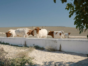 Las rutas D'Ambrosio (T9): La ruta del vino y el pescado de Lea Artibai