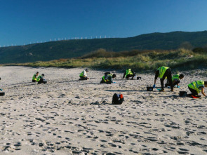 El escarabajo verde: Sitio en construcción