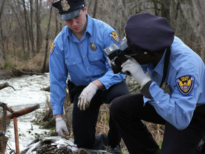 Muerte en el pantano: Asesinato en el Hudson