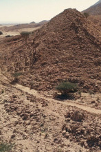 Emiratos Árabes desde el aire