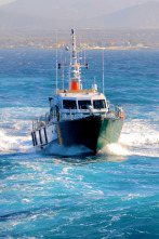 Alerta en el mar: Golpe a la Mafia