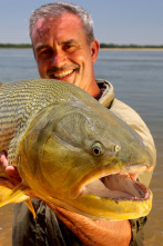 Los últimos peces...: Fin de trayecto