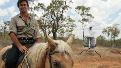 Un vaquero australiano: Ataque en el río Finnis