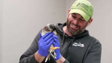 Veterinarios de Nebraska: La familia lo es todo