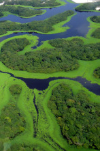 Amazonía: Un mundo de agua dulce