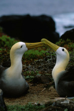 Los secretos naturales del ecuador 