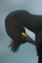 Tesoros Naturales: Del...: Entre los Pirineos y el mar