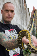 Serpientes en la ciudad: Súper serpiente