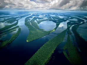 Amazonía: Paraíso depredador