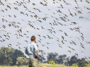 La inundación del Okavango 