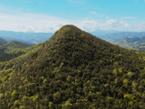 Tesoros Naturales: Del...: Entre los Pirineos y el mar