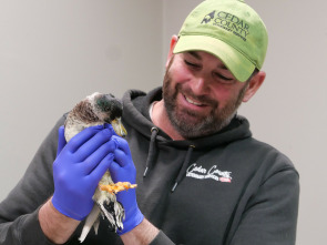 Veterinarios de Nebraska: La familia lo es todo