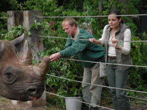 Doctora en el Zoo (T5): Ep.13 Hacia la libertad