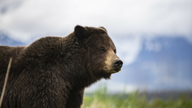 Edén: paraísos remotos: Alaska: la última frontera