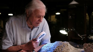 Los últimos dinosaurios con David Attenborough 