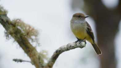 El ecuador: la línea de la vida 