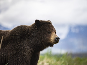 Edén: paraísos remotos: Alaska: la última frontera