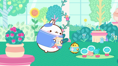 Molang (T5): El amor de un hada