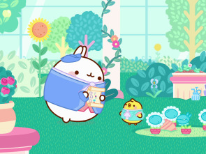 Molang (T5): La planta