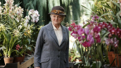 Agatha Christie: Miss Marple. Trayectoria de boomerang