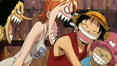 One Piece: La aventura sin salida