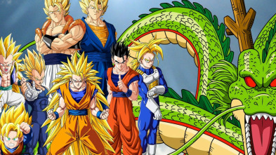 Dragon Ball Z Kai (T1): Ep.8 ¡Aparece, Shenron! Los saiyans finalmente llegan a la Tierra