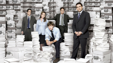 The Office (T9): Ep.10 Piojos