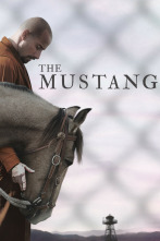 The Mustang