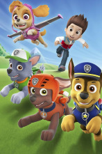 La patrulla canina (T9): Cat Pack-La patrulla canina al rescate: Salvadores de cohetes; La máscara del león dorado